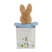Load image into Gallery viewer, Peter Rabbit in a Gift bag