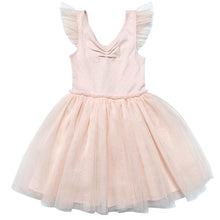 Load image into Gallery viewer, Blush Pointelle Ballerina Dress