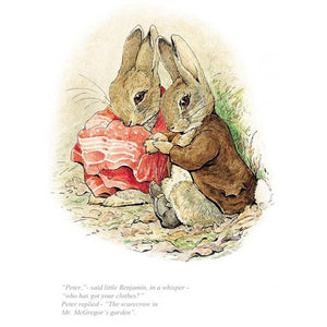 The Tale of Benjamin Bunny Vol 4